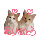 レオ家の日常（個別スタンプ：4）