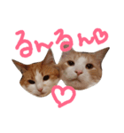 レオ家の日常（個別スタンプ：6）