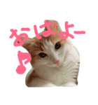 レオ家の日常（個別スタンプ：15）