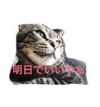 うちのごえもん（個別スタンプ：2）