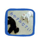 ももも わんこず（個別スタンプ：6）
