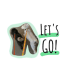 ももも わんこず（個別スタンプ：20）