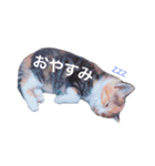 ちくわファミリー①（個別スタンプ：8）