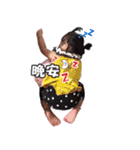 Daughter daily life（個別スタンプ：17）