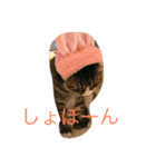 みいたろう（個別スタンプ：2）