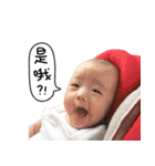Yang Yang Chan's Daily（個別スタンプ：5）
