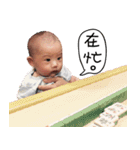 Yang Yang Chan's Daily（個別スタンプ：16）
