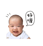 Yang Yang Chan's Daily（個別スタンプ：20）