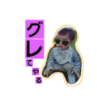 shutarostampp（個別スタンプ：24）