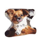 わんこも大変なのよ（個別スタンプ：7）