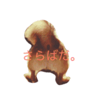 わんこも大変なのよ（個別スタンプ：12）