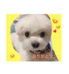 プム（個別スタンプ：1）