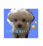 プム（個別スタンプ：2）