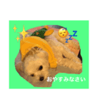 プム（個別スタンプ：3）