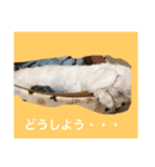 プム（個別スタンプ：6）
