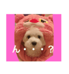 プム（個別スタンプ：8）