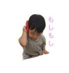 こったんの日常スタンプ（個別スタンプ：4）