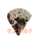 志乃と愛之助（個別スタンプ：5）
