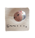 貫太を愛でるスタンプ（個別スタンプ：1）