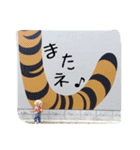 貫太を愛でるスタンプ（個別スタンプ：17）