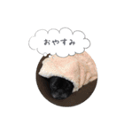 くうぽこ（個別スタンプ：2）