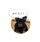 くうぽこ（個別スタンプ：5）
