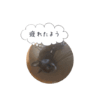 くうぽこ（個別スタンプ：7）