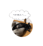 くうぽこ（個別スタンプ：8）