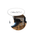 くうぽこ（個別スタンプ：10）