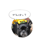 くうぽこ（個別スタンプ：11）