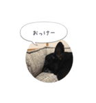 くうぽこ（個別スタンプ：12）