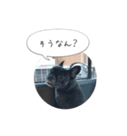 くうぽこ（個別スタンプ：13）