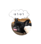 くうぽこ（個別スタンプ：14）