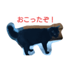 黒＆キジトラ兄弟（個別スタンプ：5）