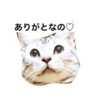 だーちゃんより♩（個別スタンプ：1）