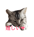 だーちゃんより♩（個別スタンプ：4）