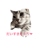 だーちゃんより♩（個別スタンプ：6）