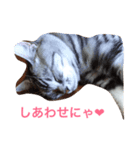 だーちゃんより♩（個別スタンプ：7）