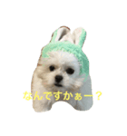 モココ（個別スタンプ：2）