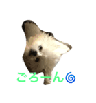 モココ（個別スタンプ：6）