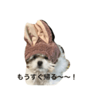 モココ（個別スタンプ：7）