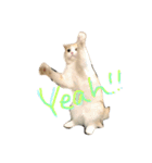 ダンテのきもち（個別スタンプ：1）