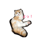 ダンテのきもち（個別スタンプ：2）