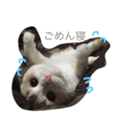 ダンテのきもち（個別スタンプ：8）