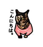 サビ猫のミーコ（個別スタンプ：4）