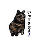 サビ猫のミーコ（個別スタンプ：7）