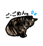 サビ猫のミーコ（個別スタンプ：11）