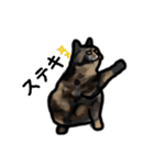 サビ猫のミーコ（個別スタンプ：12）