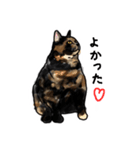 サビ猫のミーコ（個別スタンプ：22）