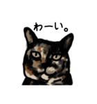 サビ猫のミーコ（個別スタンプ：23）